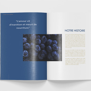 2 Catalogues finitions premium - 40 pages